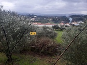 Moradia T3 - S�o Pedro Velho, Mirandela, Bragan�a - Miniatura: 6/9