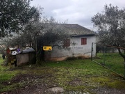 Moradia T3 - S�o Pedro Velho, Mirandela, Bragan�a - Miniatura: 7/9