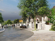 Terreno R�stico - Aves, Santo Tirso, Porto - Miniatura: 5/8