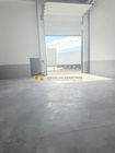 Armazm - A Ver-o-Mar, Pvoa de Varzim, Porto - Miniatura: 9/9