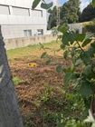Terreno R�stico - Cust�ias, Matosinhos, Porto - Miniatura: 4/6