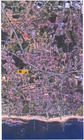 Terreno R�stico - Gulpilhares, Vila Nova de Gaia, Porto - Miniatura: 1/1