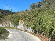 Terreno R�stico - Bai�o, Bai�o, Porto - Miniatura: 3/3
