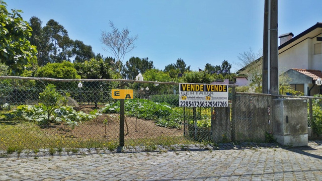 Terreno Rstico - Perafita, Matosinhos, Porto - Imagem grande
