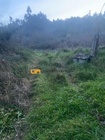 Terreno Rstico - Covelo, Gondomar, Porto - Miniatura: 6/9