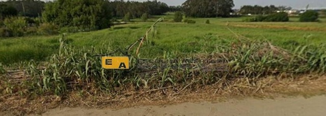 Terreno R�stico - Perafita, Matosinhos, Porto - Imagem grande