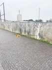 Terreno R�stico - Vila Nova da Telha, Maia, Porto - Miniatura: 4/6