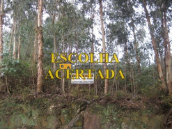 Terreno Rstico - Fnzeres, Gondomar, Porto