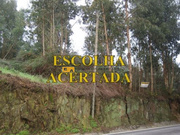Terreno Rstico - Fnzeres, Gondomar, Porto - Miniatura: 1/9