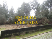 Terreno Rstico - Fnzeres, Gondomar, Porto - Miniatura: 2/9