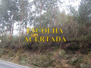 Terreno Rstico - Fnzeres, Gondomar, Porto - Miniatura: 5/9