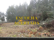 Terreno Rstico - Fnzeres, Gondomar, Porto - Miniatura: 9/9