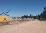Terreno R�stico - Alfena, Valongo, Porto - Miniatura: 5/5