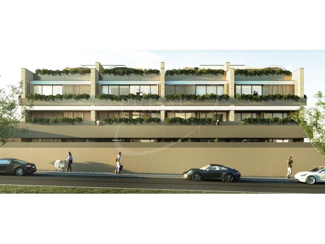 Apartamento T4 - Aldoar, Porto, Porto - Imagem grande