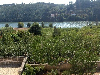 Quinta - Gondomar, Gondomar, Porto - Imagem grande