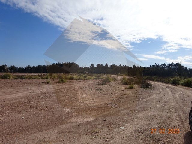 Terreno Industrial - Campo, Valongo, Porto - Imagem grande