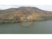 Quinta - Vila Marim, Meso Frio, Vila Real - Miniatura: 5/9