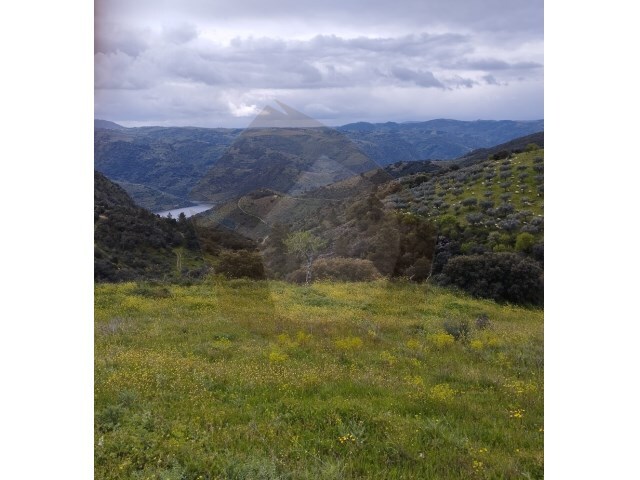 Terreno Rústico - Castro Vicente, Mogadouro, Bragança - Imagem grande