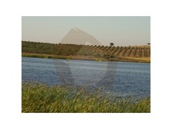 Terreno Rstico - Mrtola, Mrtola, Beja