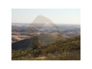 Terreno Rstico - Mrtola, Mrtola, Beja - Miniatura: 3/9
