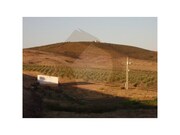 Terreno Rstico - Mrtola, Mrtola, Beja - Miniatura: 4/9