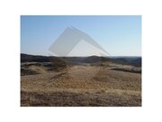 Terreno Rstico - Mrtola, Mrtola, Beja - Miniatura: 6/9