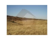 Terreno Rstico - Mrtola, Mrtola, Beja - Miniatura: 8/9