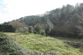 Terreno Rstico - Campo, Valongo, Porto - Miniatura: 4/10