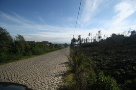 Terreno Rstico - Recarei, Paredes, Porto - Miniatura: 15/15