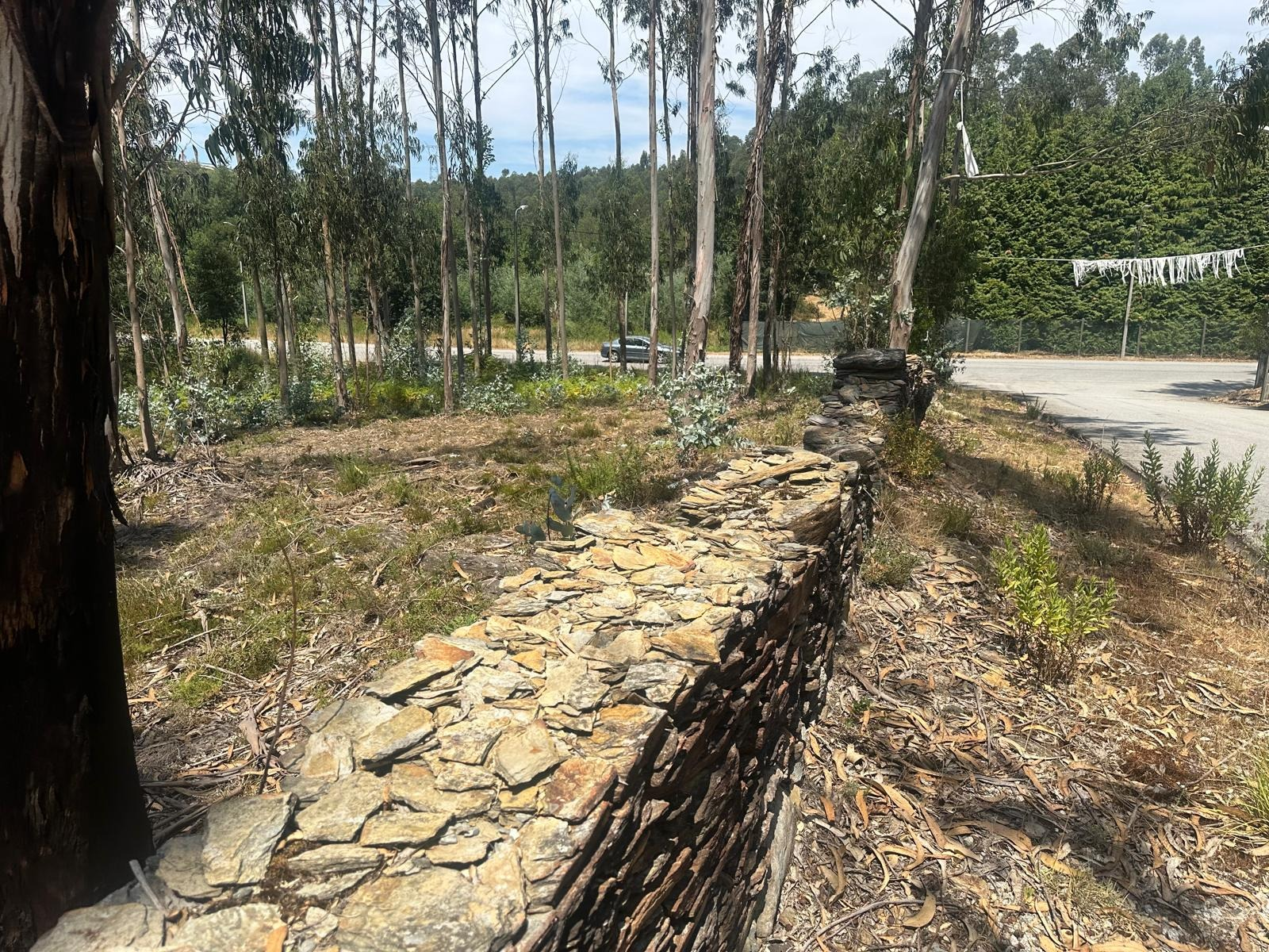 Terreno Urbano - Suz�o, Valongo, Porto - Miniatura: 12/18