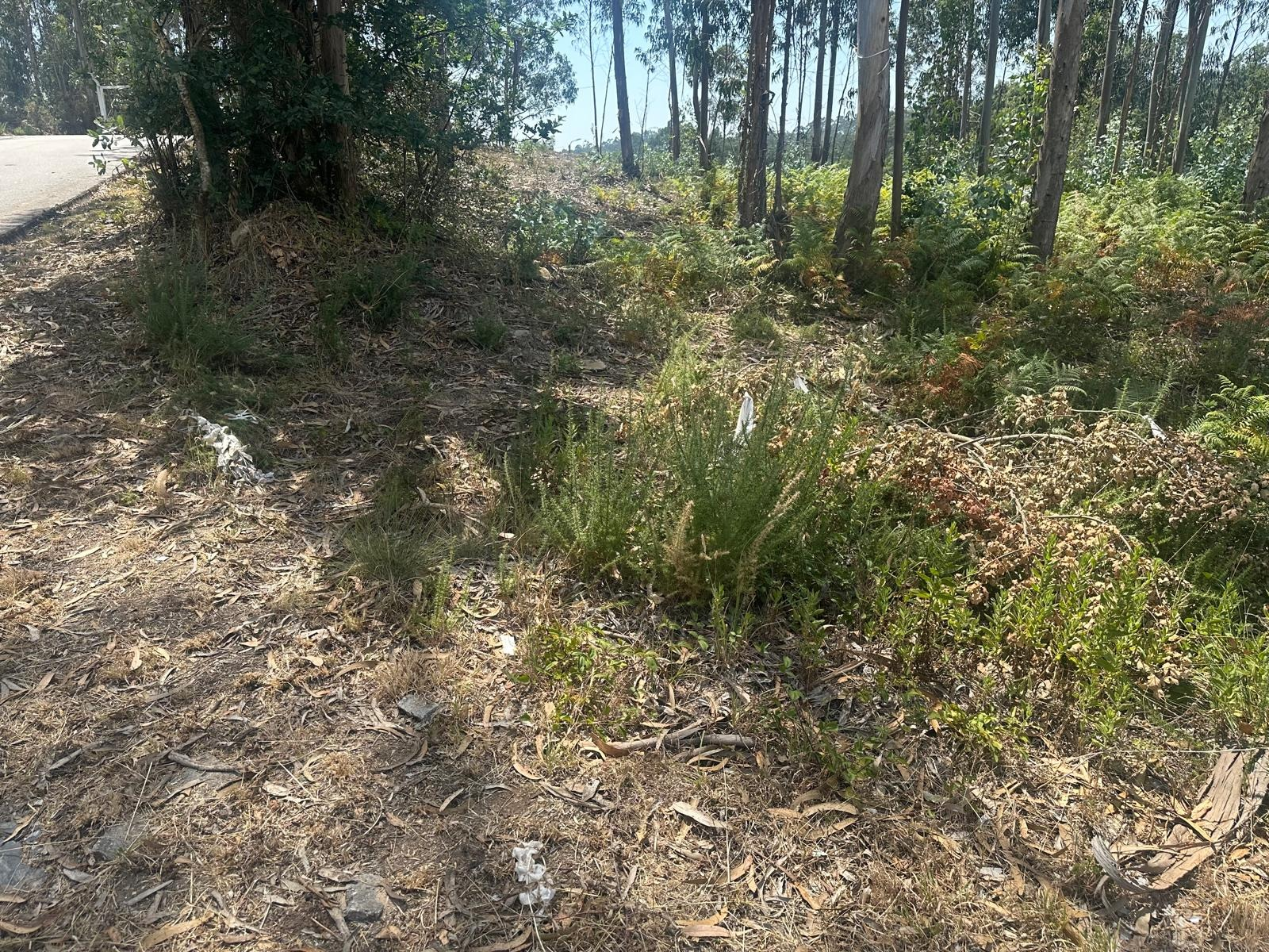 Terreno Urbano - Suz�o, Valongo, Porto - Miniatura: 14/18