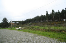 Terreno Urbano - Gandra, Paredes, Porto - Miniatura: 1/4