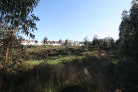 Terreno Rstico - Alfena, Valongo, Porto - Miniatura: 6/15