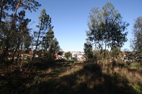 Terreno Rstico - Alfena, Valongo, Porto - Miniatura: 9/15