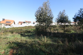 Terreno Rstico - Alfena, Valongo, Porto - Miniatura: 12/15