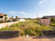 Terreno R�stico - Esmoriz, Ovar, Aveiro - Miniatura: 1/2