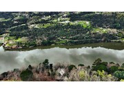 Terreno R�stico - Penha Longa, Marco de Canaveses, Porto - Miniatura: 3/9