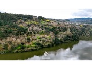 Terreno R�stico - Penha Longa, Marco de Canaveses, Porto - Miniatura: 5/9