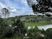 Terreno R�stico - Penha Longa, Marco de Canaveses, Porto - Miniatura: 6/9