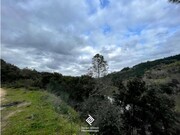 Terreno R�stico - Penha Longa, Marco de Canaveses, Porto - Miniatura: 8/9