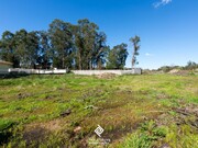 Terreno R�stico - Pedroso, Vila Nova de Gaia, Porto - Miniatura: 6/9