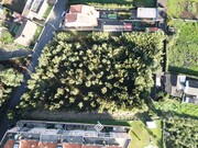 Terreno R�stico - Canelas, Vila Nova de Gaia, Porto - Miniatura: 3/9