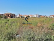 Terreno R�stico - Esmoriz, Ovar, Aveiro - Miniatura: 8/9