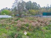Terreno Rstico - Argoncilhe, Santa Maria da Feira, Aveiro - Miniatura: 8/9