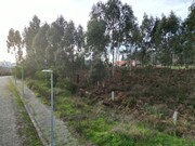 Terreno Urbano - Anta, Espinho, Aveiro - Miniatura: 6/8