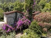 Quinta T4 - Infantas, Guimares, Braga - Miniatura: 3/9