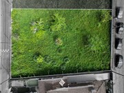 Terreno Urbano - Pa�os de Brand�o, Santa Maria da Feira, Aveiro - Miniatura: 2/5