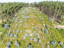 Terreno R�stico - Nogueira da Regedoura, Santa Maria da Feira, Aveiro