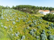 Terreno R�stico - Nogueira da Regedoura, Santa Maria da Feira, Aveiro - Miniatura: 1/9
