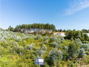Terreno R�stico - Nogueira da Regedoura, Santa Maria da Feira, Aveiro - Miniatura: 2/9